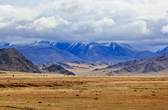 Critique of the 2021 State of Digital Nomads report & why it should be taken with a big pinch of salt.