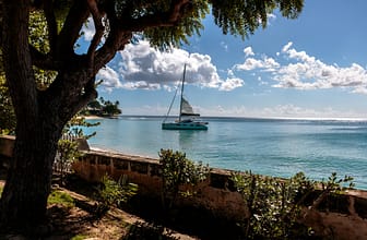 BARBADOS – Latest Stats on Barbados “Welcome Stamp”