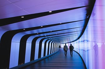 Embrace the Open Talent Economy: Trade Your CV for a Skills Passport