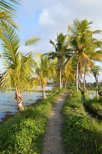 The truth about Italy's & Indonesia's Digital Nomad Visas that do not exist! 5 Indonesia's Digital Nomad Visa