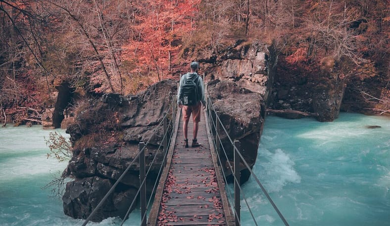 Tax Evasion, Tax Avoidance, & Why Tax Planning is Essential for Digital Nomads? 3 Tax Evasion, Tax Avoidance, & Why Tax Planning is Essential for Digital Nomads?